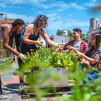 Healthy people gardening in an organic community garden