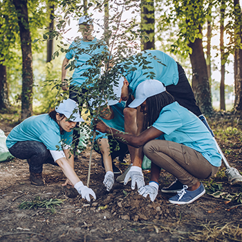 Group of people planting trees